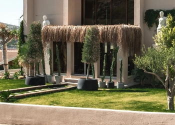 The Local House Ayasaranda - 6