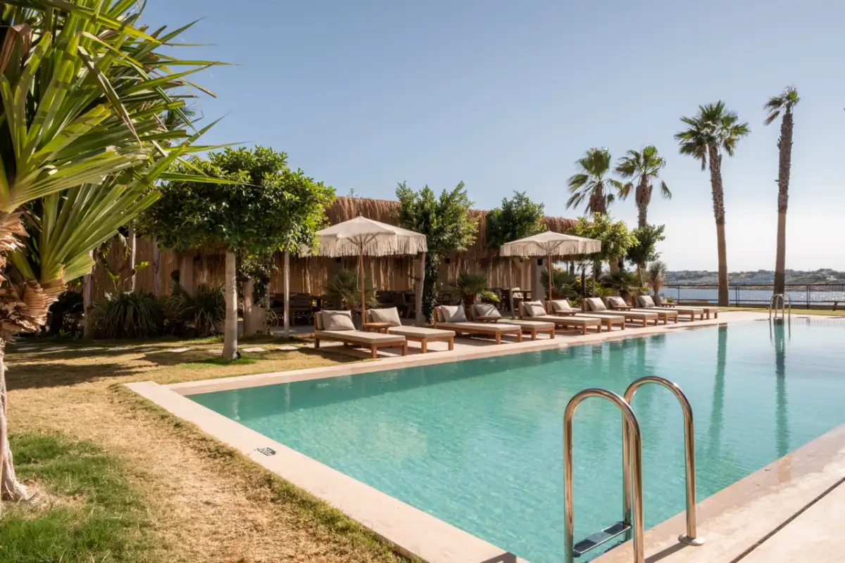 The Local House Ayasaranda - video